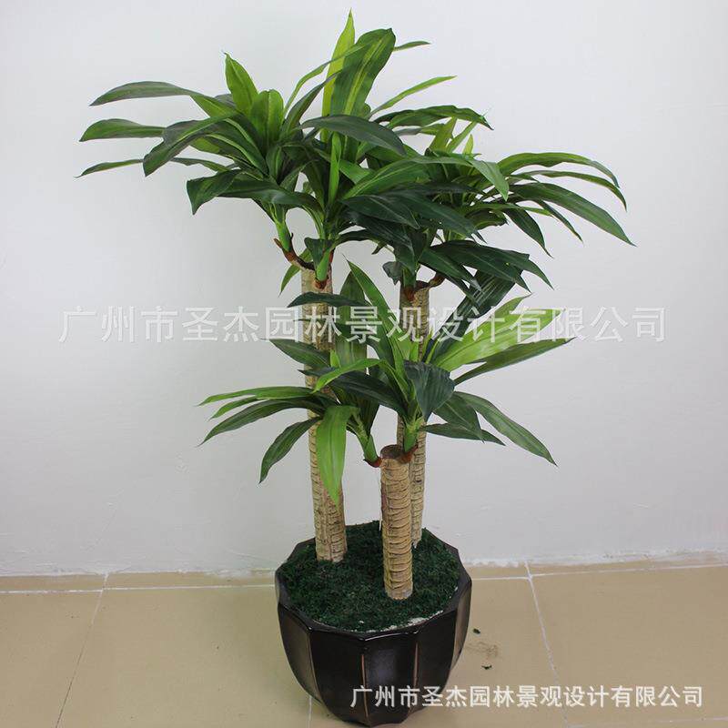 巴西铁盆栽 大型仿真植物酒店室内装饰常绿假巴西铁植物厂家直销