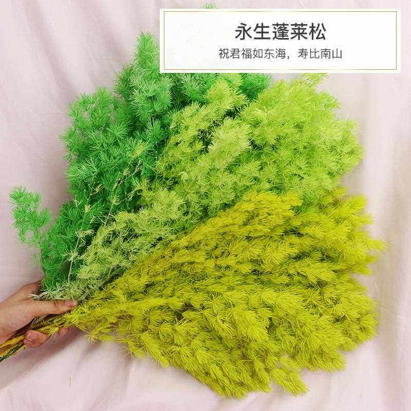 新款直销直供永生蓬莱松 永生花花材 礼盒制作材料 节日礼物配材
