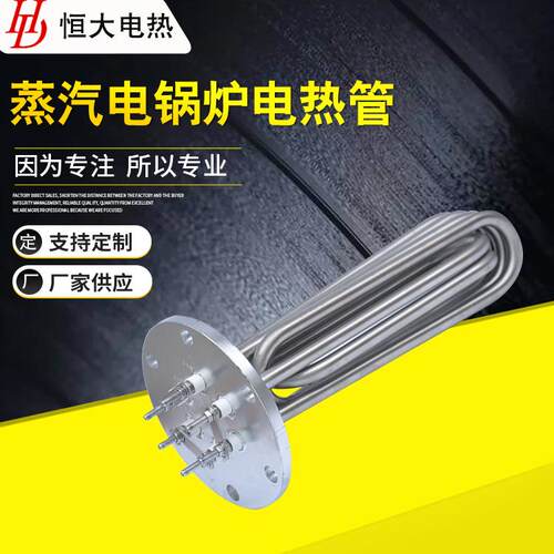 供应 蒸汽电锅炉电热管 蒸烫机法兰水箱电加热管 高温发热管