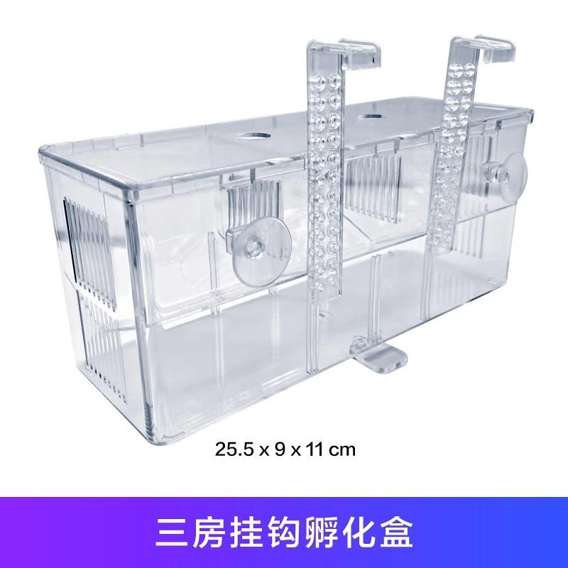热带鱼孵化器存活率鱼缸孵化器图片