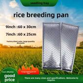 厂家直销塑料育苗盘水稻育秧盘麦苗种植盘育种盘托盘水稻机插软盘