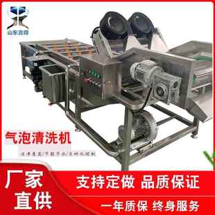 杨梅清洗去泥设备黄瓜茄子多功能洗菜机蓝莓高压喷淋气泡清洗机