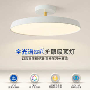 北欧简约现代家用客厅厨房ins风主卧室书房斜顶房间led圆形吸顶灯