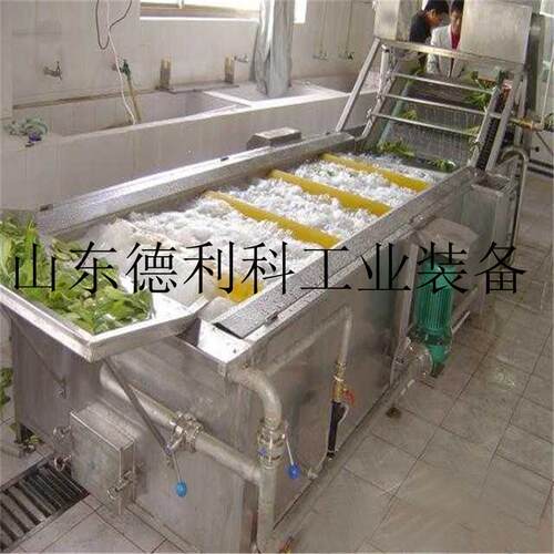 多功能山野菜气泡清洗机木耳气泡清洗机水果葡萄清洗机蓝莓清洗机