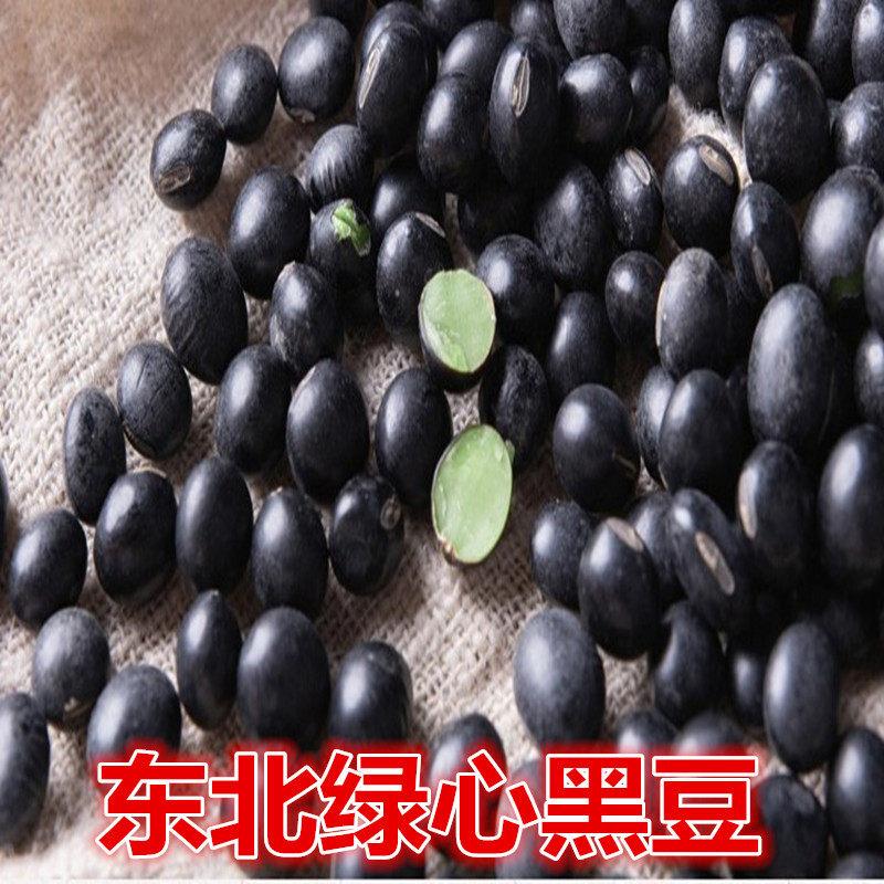 东北黑豆5斤绿芯绿心黑豆农家青仁黑豆发芽打豆浆新货自产