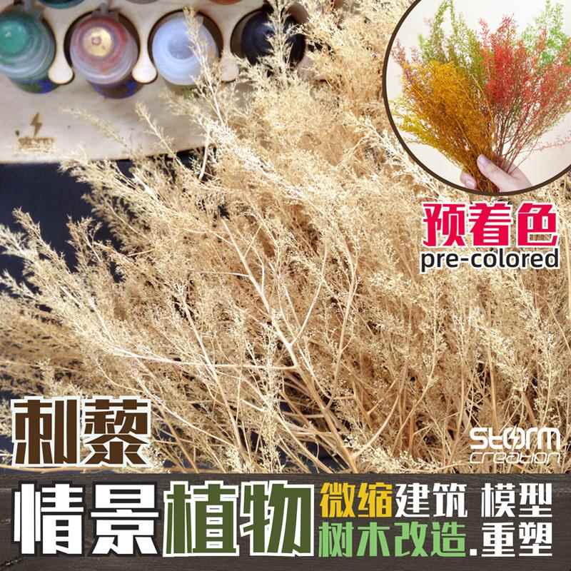 刺藜 荷兰干燥花树木铁道模型灌木枯草 火车兵人地台建筑沙盘情景
