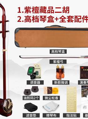 新款正音琴堂二胡乐小叶器檀专业演奏收藏检紫定考试手工胡厂家直