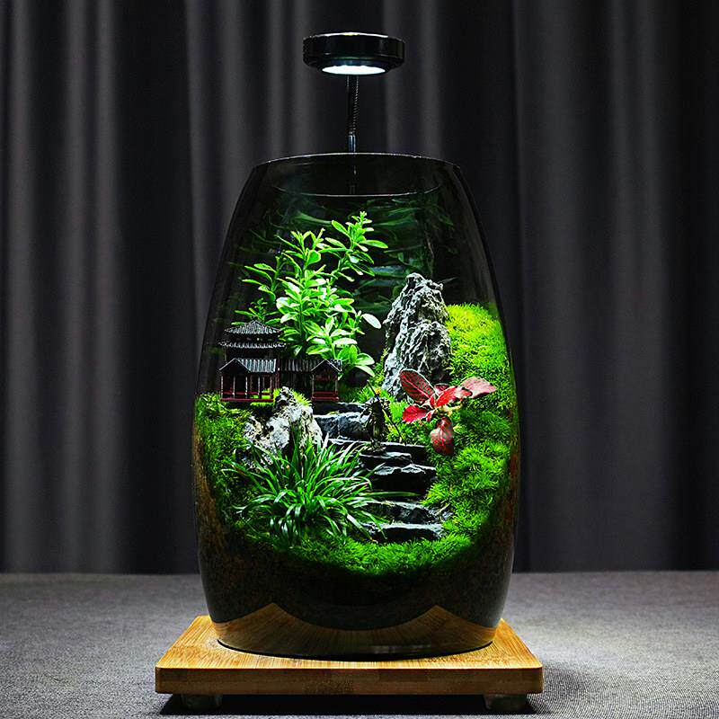 【山海间】苔藓微景观办公室内桌面生态微景观盆景高端生态缸摆件