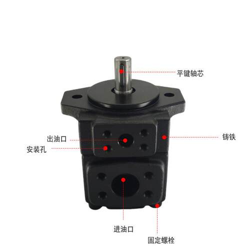 1超划算高压定量塑机油泵叶片注泵液压油泵v2rp超静音增LXQ压叶片