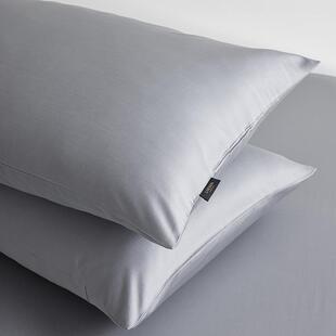 A类100支双股阿瓦提长绒棉枕套单件纯棉枕罩单人枕头套48x74cm