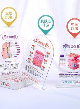 美容院桌面装饰摆饰分层抗衰肌肤结构压克力医患沟通皮肤解剖知识