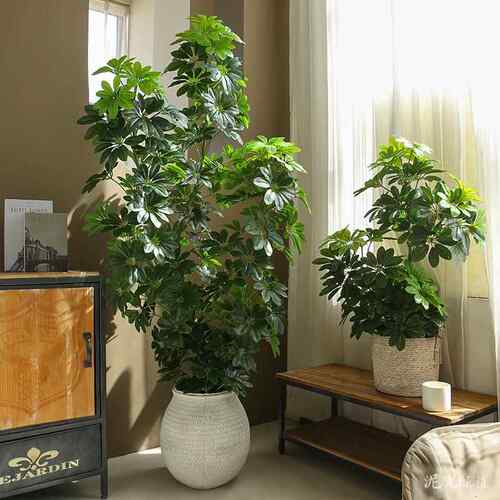 仿真绿植加密脚YJM003鸭木大造型落地仿植物真客厅商场橱窗景假树