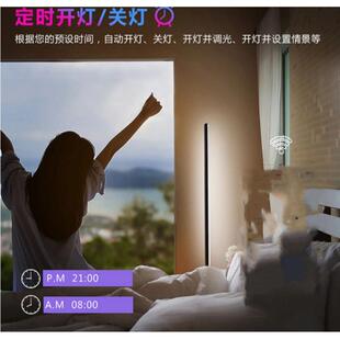跨境爆款 浪漫RGB幻彩落地氛围灯客厅卧室墙角灯落地气氛灯 拆卸款