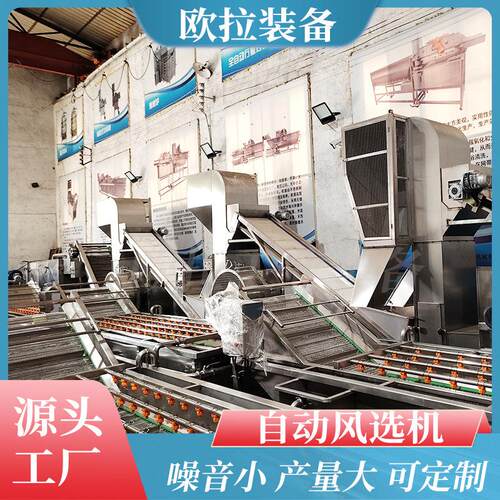 多工毛豆风选机 去除石子土块 玉米分选机流水线配套风选设备