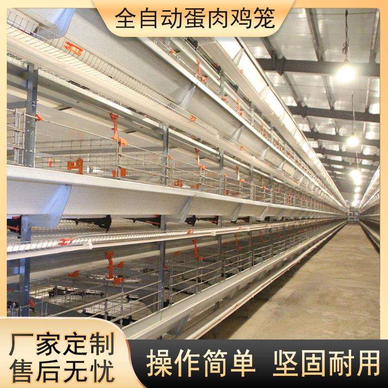 大层叠肉鸡笼养鸡设备加密加粗全自动化养殖笼具热镀锌蛋鸡笼