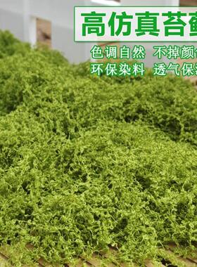 疏水透气丝绒毛线状彷真绿苔藓铺盆面装饰盆景盆栽造微景观假青苔