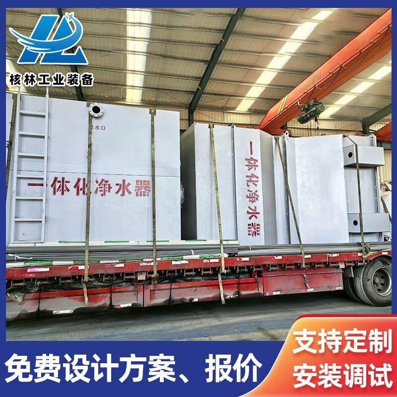 一体化净水装置 河水一体化净化器 别墅地下室一体化净水设备