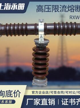 压T型限流熔断器保护RXWO-RW9-RW10-5KV/0.5-1A5A10A 户外40.5