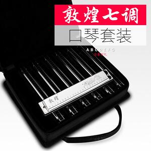 敦煌套装口琴24孔7调复音C调特别调套装口琴成人儿童初学演奏乐器