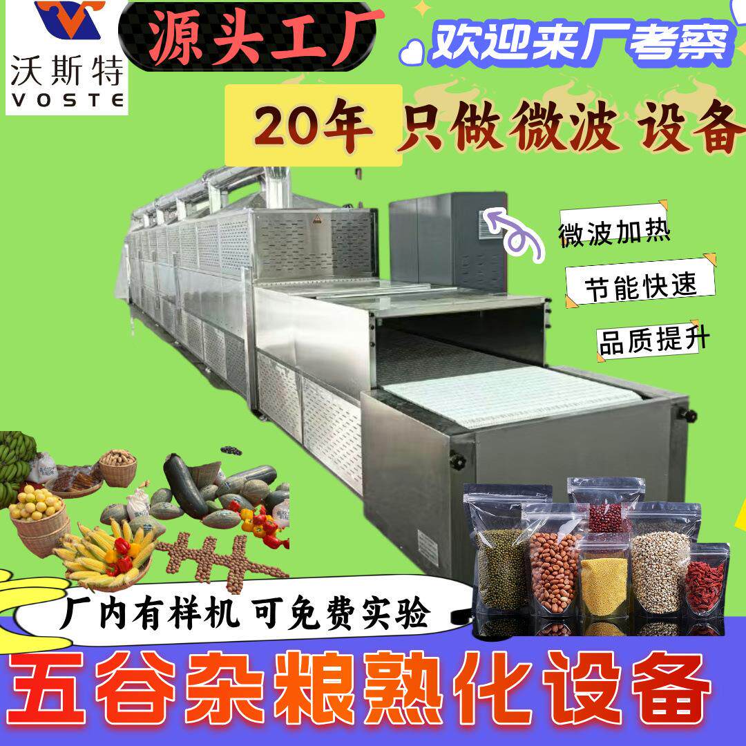 源头工厂五谷杂粮烘焙机熟化烘干杀虫卵多功能一机多用节能高效