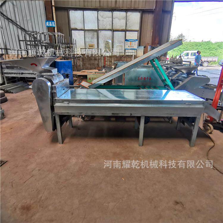 青皮茶籽剥壳机 新型无损山茶籽剥皮机 全自动茶油果脱壳机厂家