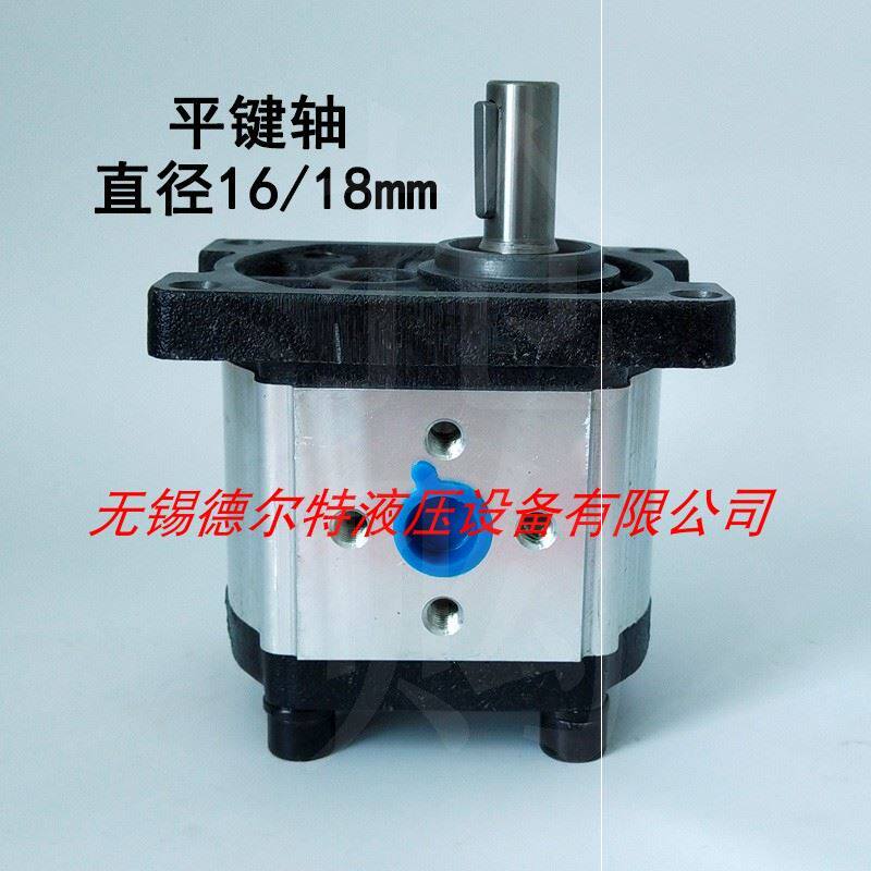 Gear pumps CBN-G310 CBN-G314 CBN-G316 CBN-G320 CBN-G325 G3 goods in stockin the Flower delivery/Flowers simulation/Plants gardening , Gardening supplies , Other Garden Supplies  category - from Buy2taobao.com to provide professional Taobao agent buy service