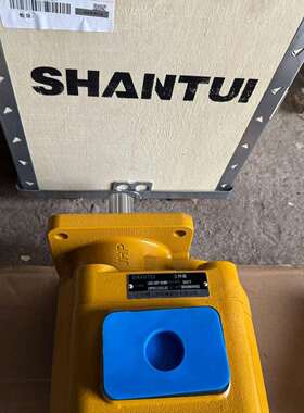 1455-62Y-01000-1L58K-B5工作泵