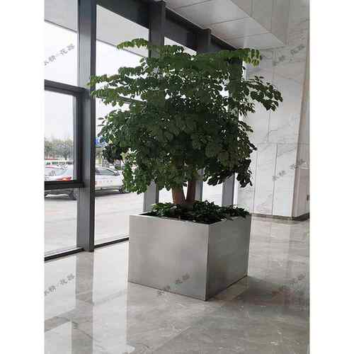 不锈钢花箱室内户外树池种植箱定制广场移动花盆室外组合花槽花钵