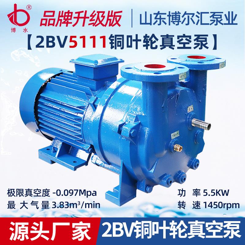 2BV5111水环真空泵5.5kw水/液环真空泵抽气泵医疗负压设备