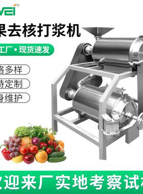 水果去核打浆机果蔬打浆机大型双道打浆机可按需设计生产2.5吨