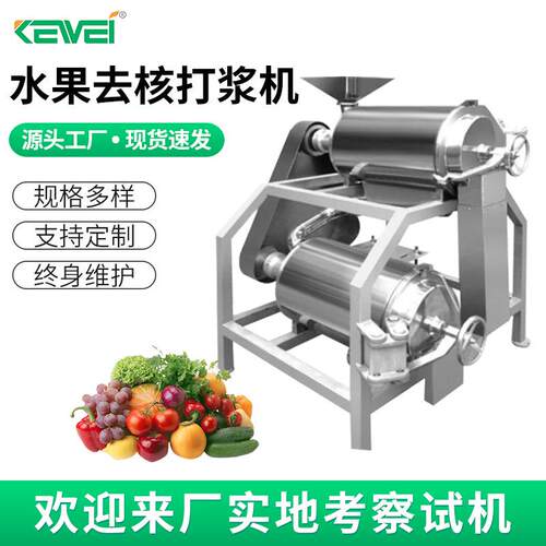 水果去核打浆机果蔬打浆机大型双道打浆机可按需设计生产2.5吨