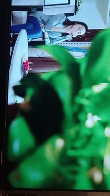 良心评测长虹55D4P和创维55M7S哪个好用点？区别有吗？