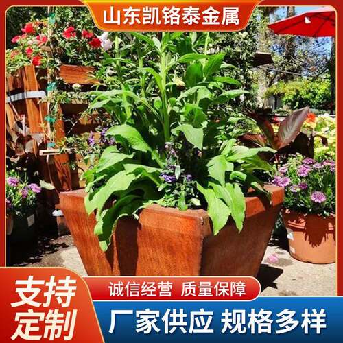 耐候钢板花箱花坛景观园林广场户外花箱街道场景装饰树池花床