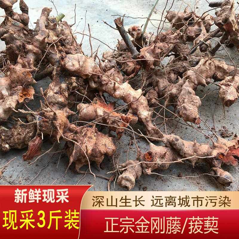 金刚藤头500g农家现挖新鲜菝葜铁菱角泡酒原料冷饭头铁刺苓金刚根