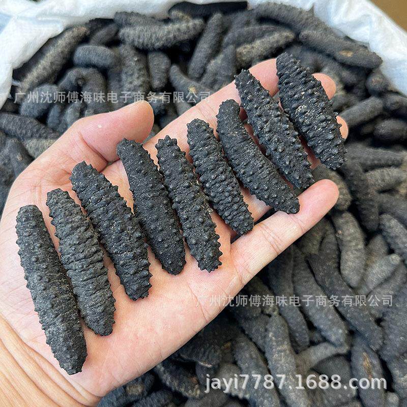 爱琴海土耳其参带刺米刺参希腊海参深海淡干海参干货天然黑刺参