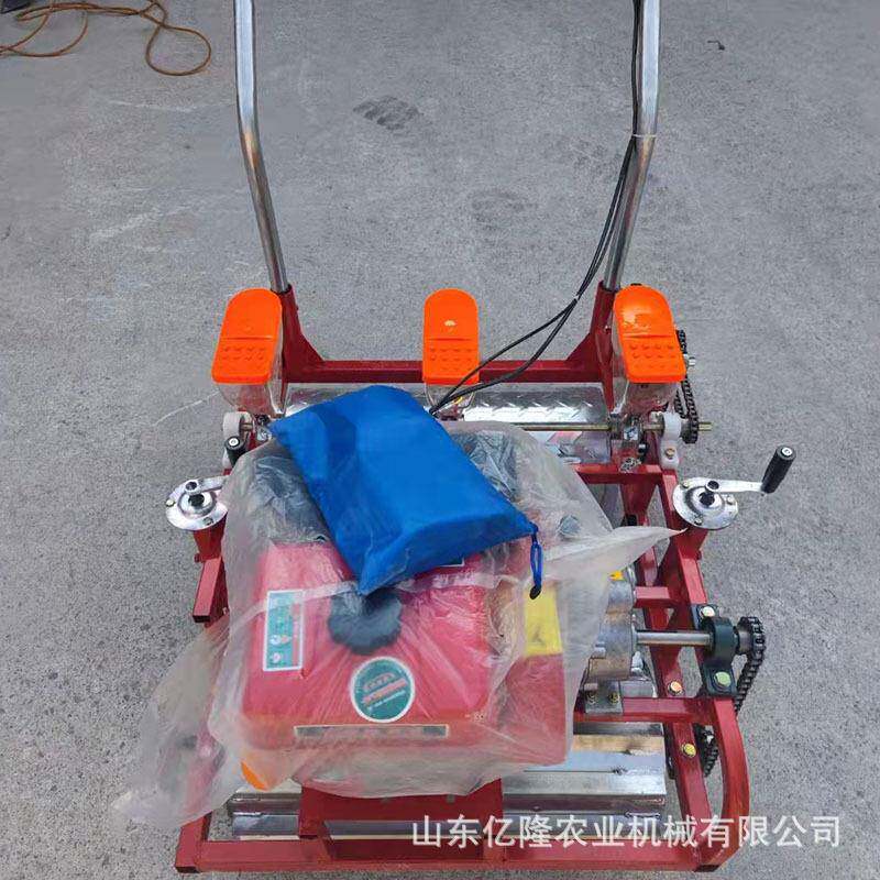 白菜胡萝卜生菜点播机苋菜茴香芹菜精播机大葱施肥机洋葱播种机