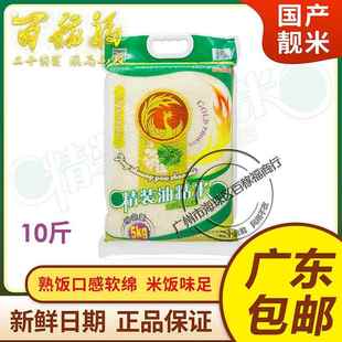 金凤凰精装油粘米5KG广州大米10斤真空装优质晚籼米新米家庭包邮
