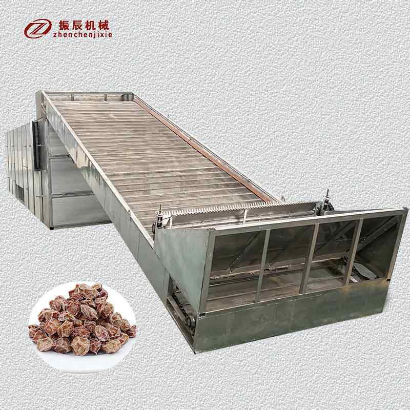网带式西梅烘干机 智能控温黄梅话梅干烘干设备 蜜饯果干燥机