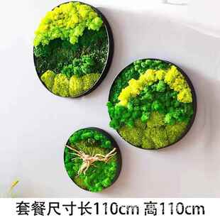 厂直供苔工藓绿苔植挂画玄关客办永生白发公室墙厅面青装饰永生苔