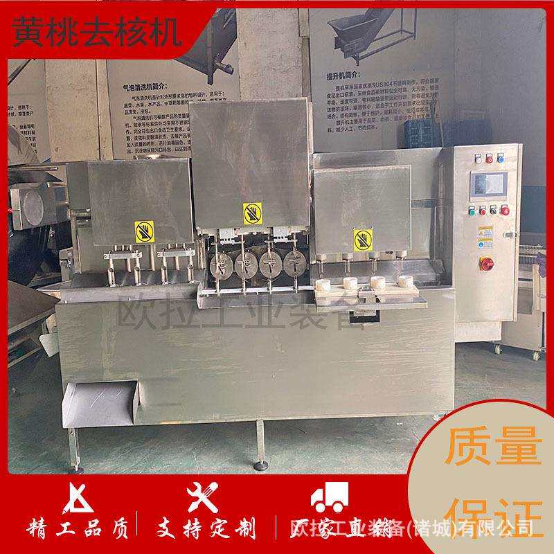 枇杷削皮去核设备 全自动商用带核水果去皮去核机 去核加工生产线