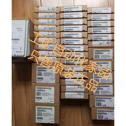 6ES7138-4DB03/4DC00/4DC01/4DD00/4DD01/4DE00/4DE01/4DE02-0AB0