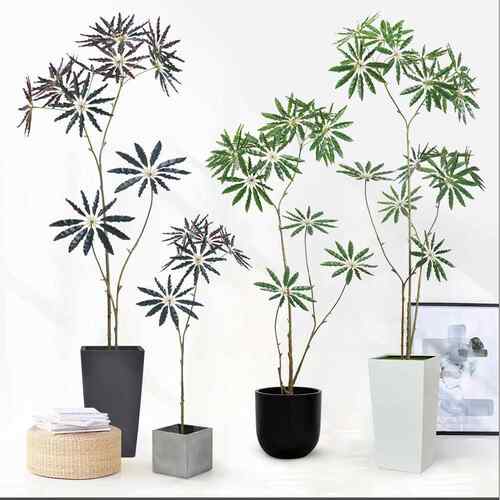 仿真孔雀木盆栽绿植落地装饰客厅假树室内禅意软装样板间造景