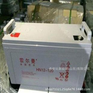 120阀控式 铅酸免维护12120工业储能电池