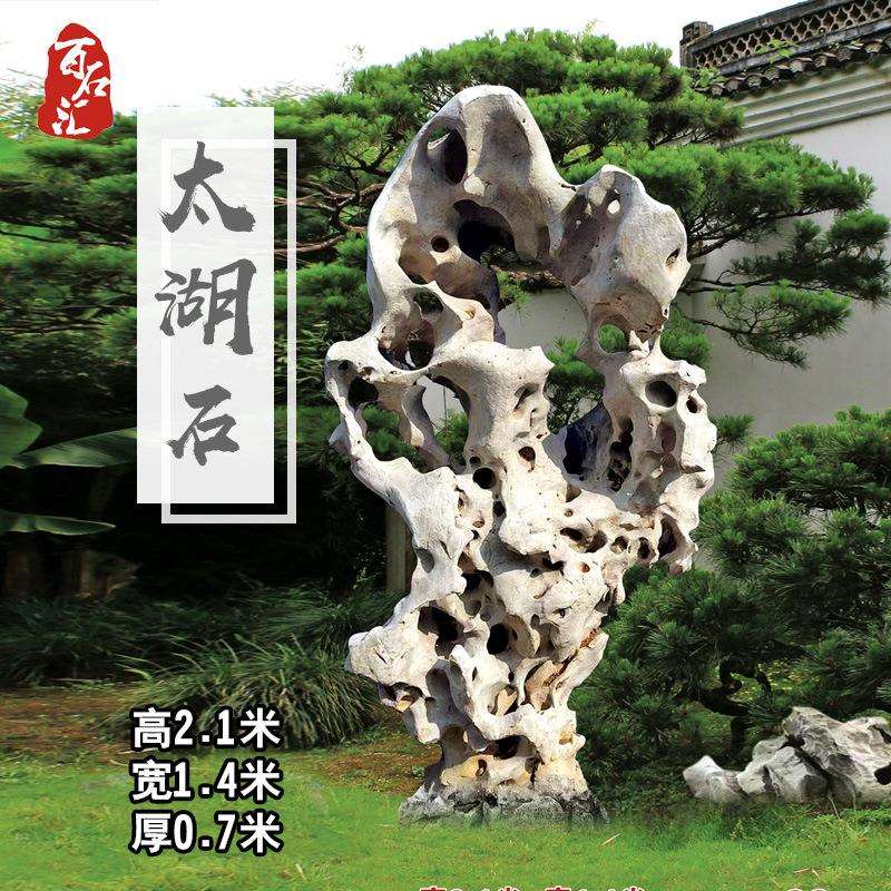 百石汇大型太湖石天然原石白太湖石观赏石摆件带孔窟窿石造型石头