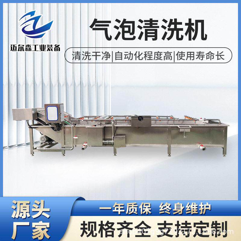全自动气泡清洗机柿子山楂气泡翻滚清洗机果蔬清洗沥水风干机器