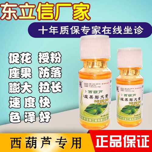 座果灵西葫芦座果膨大素专用膨大剂授粉座果丝瓜膨大拉长防落花果