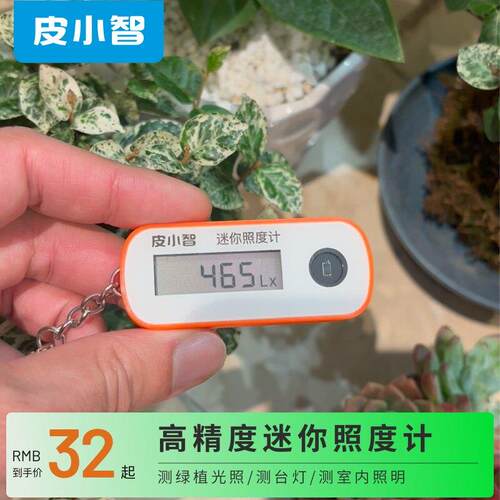可携式迷你绿植照度计高精度养花养草光照测试亮度灯光强度皮小智