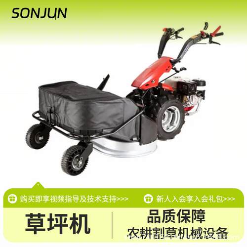 小型草坪机手推式剪草机自走修剪牧草收割汽油柴油打草机