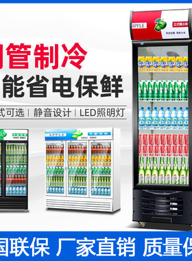 饮料展示柜冷藏商用啤酒柜蔬菜保鲜柜单门双门立式冰柜冰箱冷柜