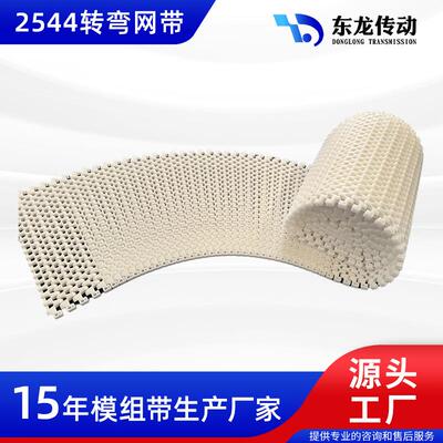 跨境传送带 2544型转弯网带节距25.4MM水平转弯低张力 螺旋输送带